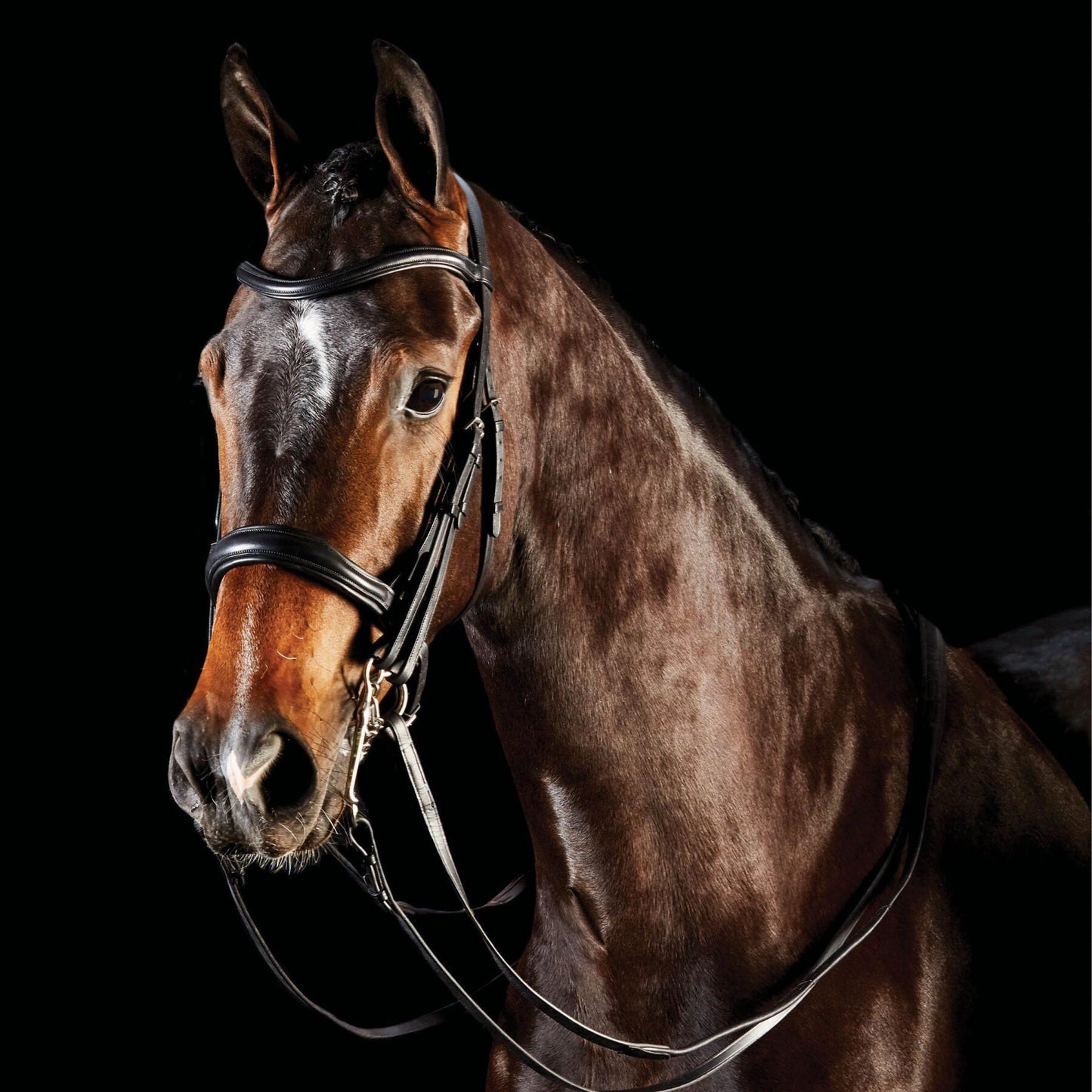 Collegiate ComFiTec Weymouth Bridle