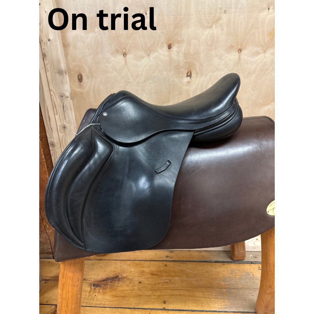 Loxley by Bliss Jump Saddle-Black-17.5”-Medium Wide